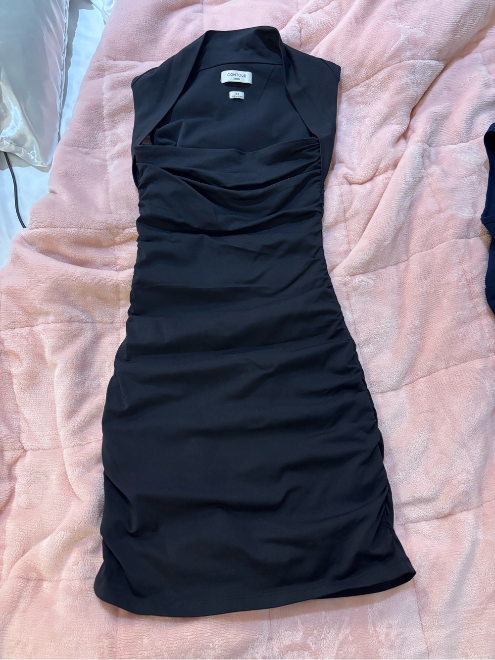 Aritzia Contour Flourish Dress (Mini)